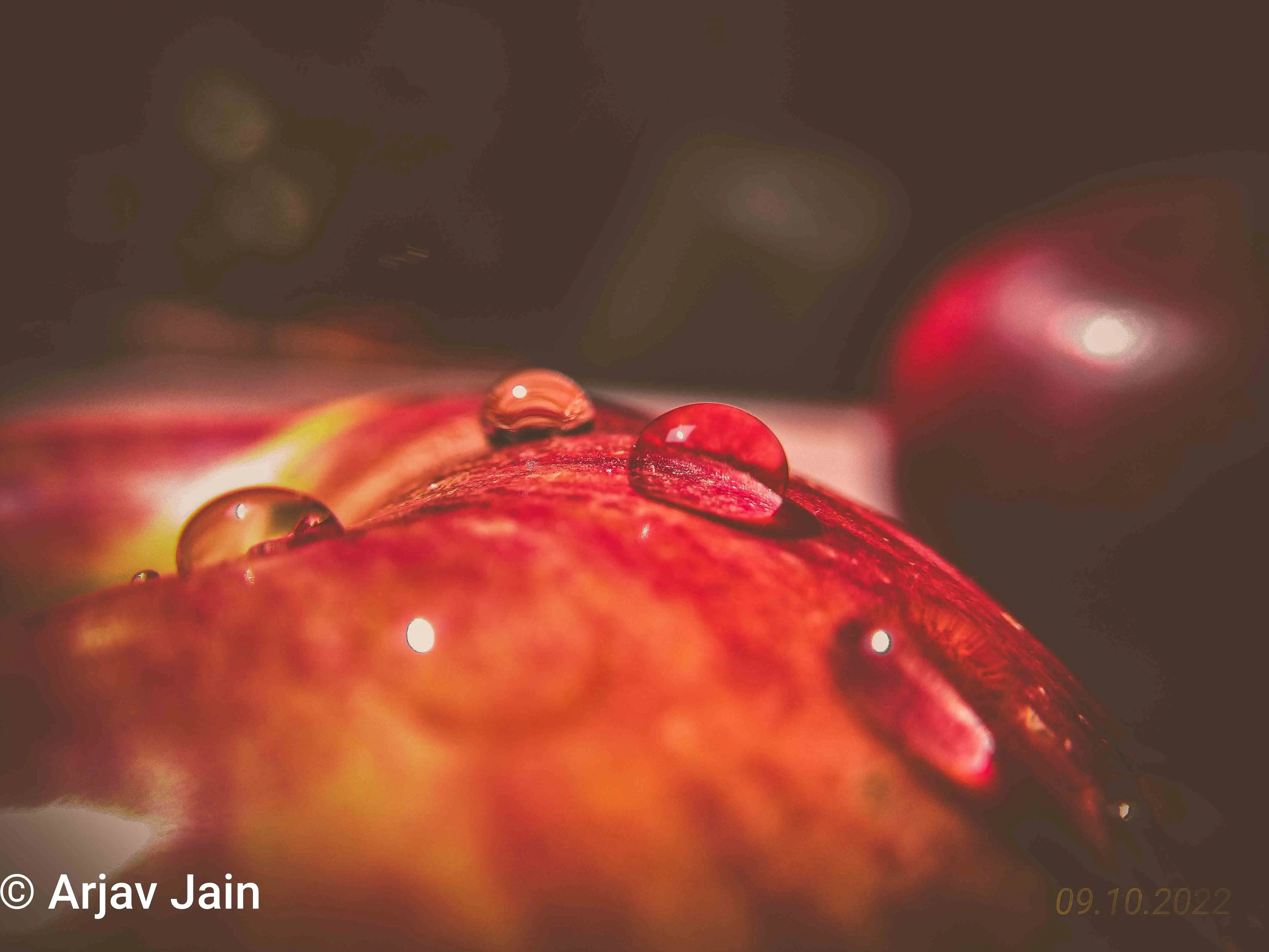 close up shot of an apple